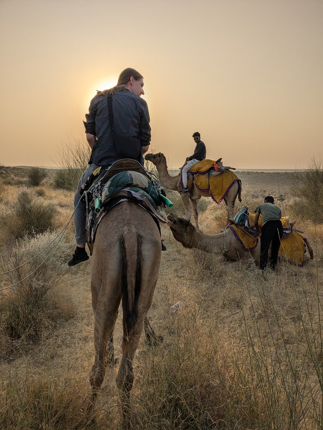 Camel caravan at sunset